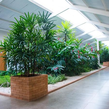 Hotel Vila Verde Penápolis Exteriör bild